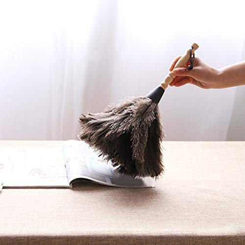 Ostrich Feather Dusters for Cleaning, Anti-static Reusable Wooden Handle Dust Tool for Books, Keyboard, Decorative Articles with Hanging Rope, Handcraft Design, Washable, 34cm