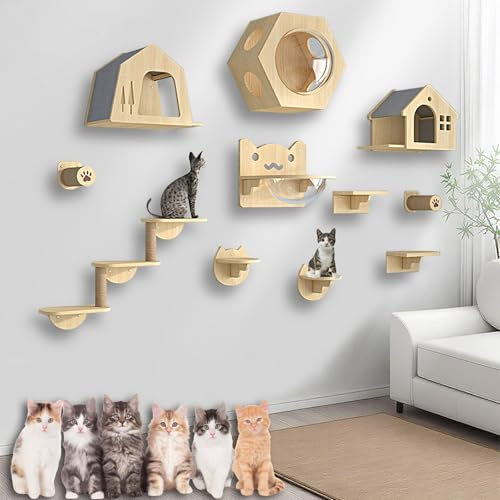 XMLYSMYS Katzentreppe Wand, Katzen Kletterwand Aus Holz Katzenmöbel Innen Wandpark, Platzsparend, für Katzenliebhaber, Zum Klettern, Schlafen, Spielen(11PCS)