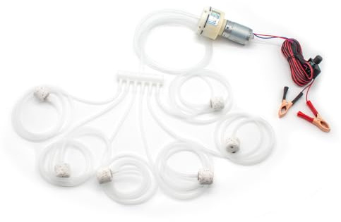 LeTkingok DC 12V Mini-Luftpumpe, Sauerstoffpumpenmotor, Volt, Aquarium-Pumpeneinstellung, PWM-Volumen, Angeln, Aquarium, Autobelüfter, Zucht