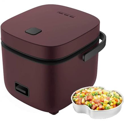 Rice Cooker And Steamer for 2, Small Rice Cooker Cookworks Korean Micro Rice Cooker 2 Cup, with Automatic Cooking,Brown