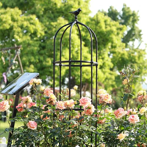 Treillis de jardin en métal obélisque pour plantes grimpantes - Tour robuste - 180 x 50 cm - Noir - 180 x 50 cm (H x P)