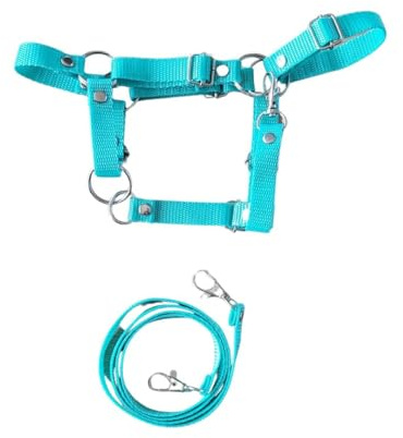 Einstellbare Minzzahn mit Häuptchen für Horse Hobby-Accessoires, handgemachte Horse Accessoires UNIVERSAL von A4 bis A3