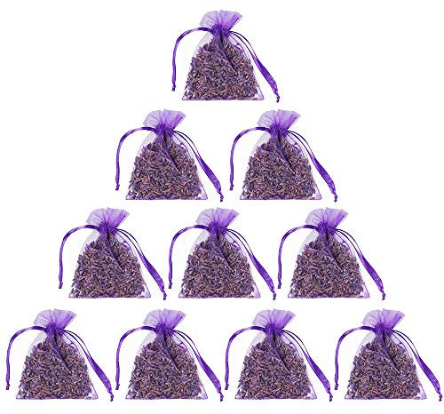 YASQZ Confezione da 10 sacchetti di lavanda – 100 g di fiori di lavanda essiccati naturali per tarme, deodoranti per guardaroba
