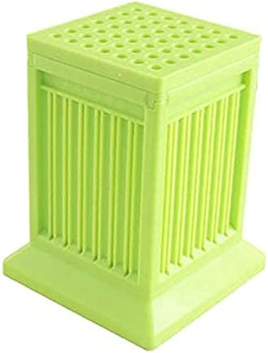 CURTEK Cubo Fabbrica Spiedini Arrosticini Creatore Rapido per Carne e Verdure Barbecue Spiedini arrosticini cubo Barbecue Stringer 49 Buche Barbecue Grill Shish Kebab Maker Kit Strumento(green)