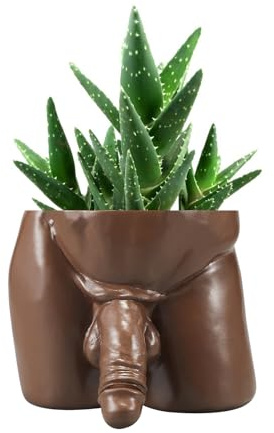 Body Vases for Decor Penis Planter Cool Decor Pot, Male Plant Pots — Body Vase Christmas Valentine's Day Gift Unique Planter (Brown, L)