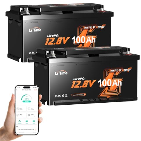 LiTime Batterie Lithium LiFePO4 12V 100Ah H190 avec Bluetooth pour Sièges de Camping-Cars Européen: DIN H8 L5, 4000-15000 Cycles Profonds, Parfait pour Caravanes RV, Fourgons