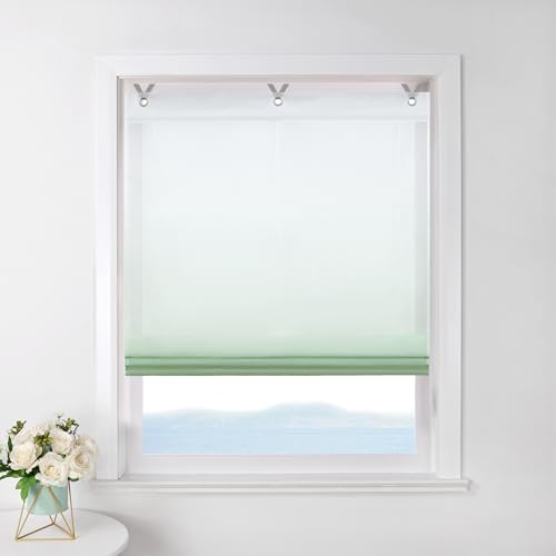 ESLIR Raffrollo ohne Bohren Raffgardine Transparent mit Ösen Farbverlauf Gardinen mit Haken Ösenrollo Modern Vorhänge Grün #2 BxH 80x130cm 1 Stück