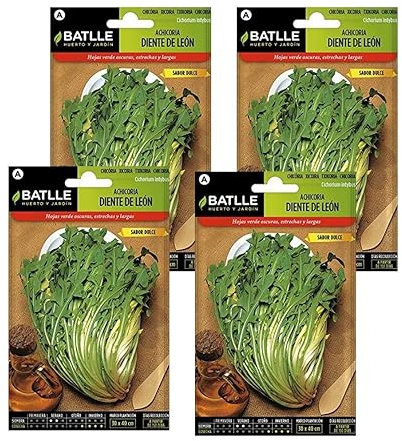 Pack 4 Semillas de achicoria silvestre diente de león en sobre de Semillas Batlle,