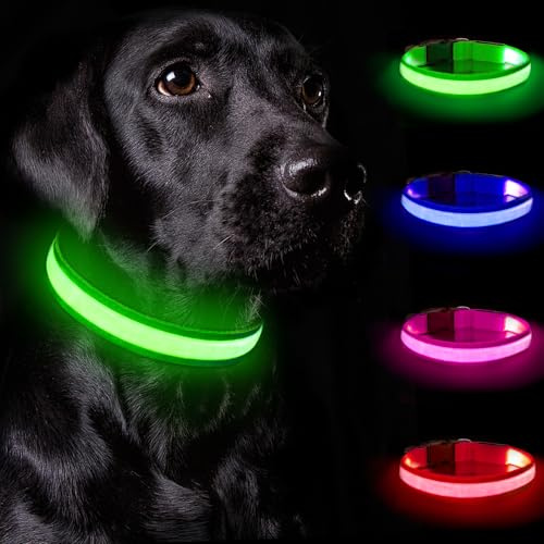 Nepfaivy Leuchthalsband Hund USB Aufladbar - Hundehalsband Leuchtend mit Verstellbarer Länge für Mittelgroße bis Große Hunde, LED Halsband Hund mit 3 Beleuchtungsmodi für Nacht Sicherheit, (Grün-M)