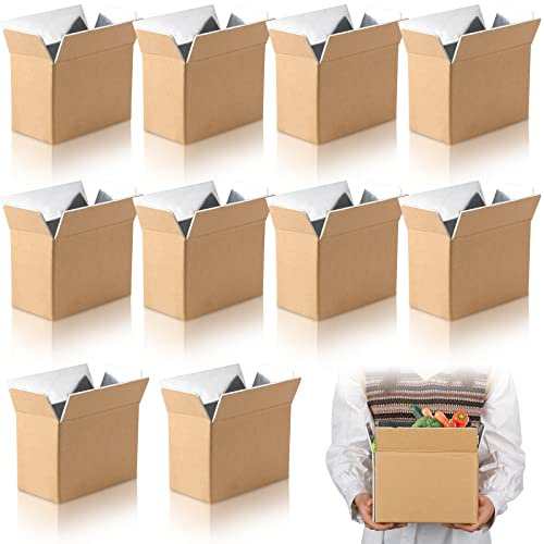Insulated Shipping Box Cold Double Insulated Carton with Foil Foam Cooler Boxes Delivery Moving Kits Foam Shipping Containers for Mailing Packing, Box Inside 8.7'' x 4.5''x 6.1''(10 Pcs)