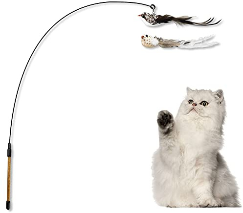 Andiker Interaktives Katzenspielzeug mit Glocke, Katzenstab mit 2 künstlichen Vögeln Ersatz, Katzenfederstab zum Spielen und Trainieren, lustige Katzenstäbe für Innen- und Außenübung (Schwarz)