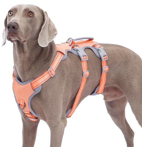 Huntboo Fluchtgeschirr für Hunde,Hundegeschirr ohne Entweichen, Hundegeschirr ohne Ziehen für Große Hunde mit Griff,Reflektierend,Haltbar,Verstellbare Weste für Spaziergänge, Training (Orange,XL)
