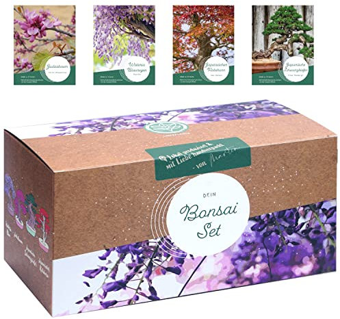 Bonsai Starter Kit – 4 außergewöhnliche Bonsai Samen für dein eigenes Bonsai Baum Projekt. Nachhaltiges & plastikfreies Bonsai Anzuchtset - einzigartiges Geschenk für Frauen und Männer. Bonsai Set