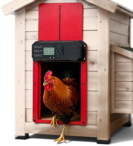 PORTA AUTOMATICA GALLINE POLLAIO METALLO DISPLAY LCD SENSORE CREPUSCOLARE TIMER PROGRAMMABILE APERTURA MGIDEA MG0411 200 x 250 mm ALIMENTAZIONE CON STILO AA