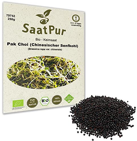 250 g BIO Keimsprossen Pak Choi (Chinesicher Senfkohl) Samen für die Sprossenanzucht Sprossen Microgreen Mikrogrün