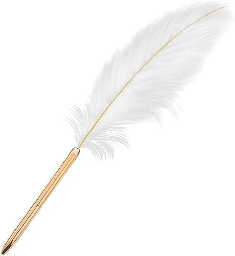 LNYMZD Weiß Retro Feder Kugelschreiber Exquisite Siganture Pen Nachfüllbar für Hochzeit Büro Business Geschenk für die Unterzeichnung Kunstwerk Journal Schreiben und Minen,Schreib und Korrekturbedarf