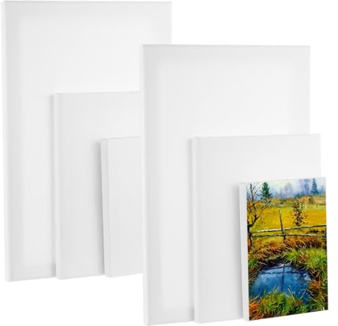 6 tele piccole da dipingere, 10 x 15 cm, 15 x 20 cm, 20 x 30 cm, in cotone, tela bianca, tele per colori acrilici, acquerelli, guazzi, hobbisti e artisti