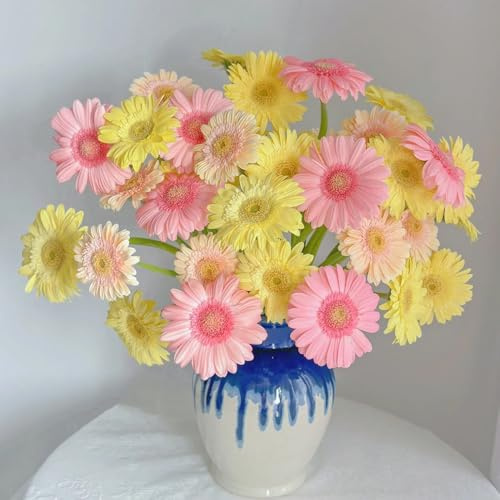 semi di gerbera - luoghi soleggiati gerbera resistenti, resistenti per il giardino primaverile, selvatici tappezzante perenne 55pcs
