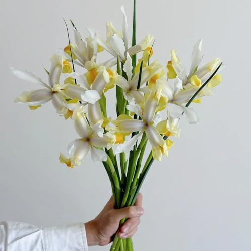 iris schwertlilien zwiebeln, blumenzwiebeln frühblüher, wildblumen balkonblumen schwertlilie knollen, deko wohnzimmer frische blumen, gartendeko für draußen deko blumen, topfpflanzen 20pcs