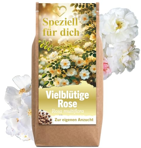Geschenke für Frauen Vielblütige Rose Rosensamen Blumensamen Anzuchtset Geburtstagsgeschenk für Frauen Dankeschön Geschenke Mutter Tochter Geschenk Hochzeit Geschenk für Freundin
