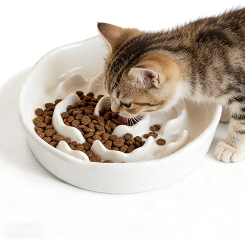 Slow Feeder Katt, anti-stänk-skål hund keramik, anti-fallskål katt, slow feeder katter halkfri, anti-sling skål keramik för katter och små hundar (vit)