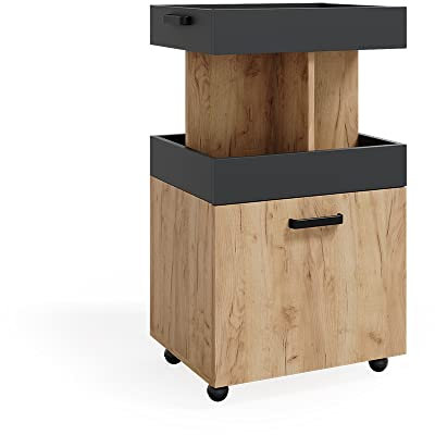 Vicco Hausbar Minibar Getränkebar Kamber Tür rollbar Ablage Fach Regal