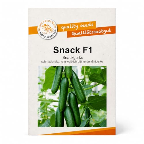 Bobby-Seeds Snack F1 Snackgurke Gurkensamen, ca. 10 Korn, Mini-Gurke 10–12 cm, rein weiblich blühend, ertragreich & krankheitsresistent