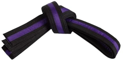 Mastery Apprentice (black belt/Purple stripe, 5)
