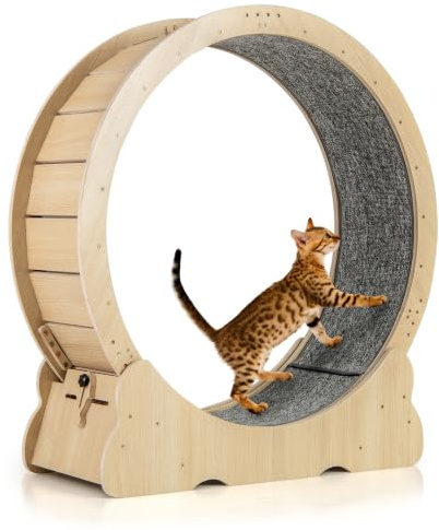 COSTWAY Katzenlaufrad, 101 cm Innendurchmesser, Holz, Laufrad Katzen mit abschließbarem Mechanismus & Kratzmatte, Ultra-leiser, Katzenrad Trainingsrad, für große Katzen bis 20 kg, Natur