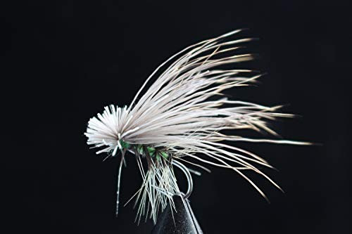 Tigofly 12 Stück 8# 10# 12# Elchhaar Caddis Fliegenfischen Forelle Cutthroat Äsche Lachs Fliegen Fliegenfischen Köder (Größe 10)