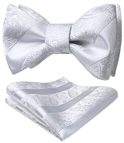 HISDERN Fliegen für Herren Weip Fliege mit Einstecktuch Klassische Paisley Selbstgebundene für Bräutigam Hochzeit Party Fasching Smoking