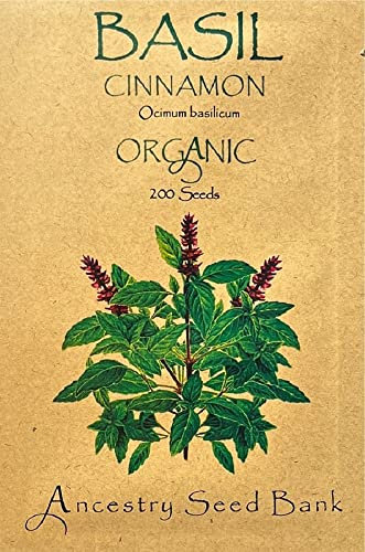 Organic Basil ❁ Cinnamon ❁ x200 Seeds Heirloom Herb - Non GMO