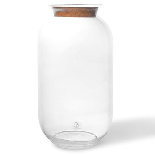 Glass Terrarium Jar (H: 42cm) with Cork Lid – Extra Tall Hand-Blown Closed Glass Container for DIY Indoor Gardens, Empty Large Decorative Vessel for Plants, Moss (Capacity 13.5 L) (with Standard Lid)