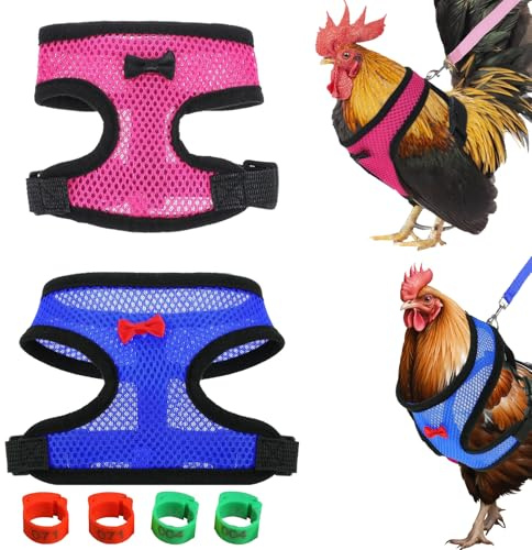 ZenyTra Lot de 2 harnais de poulet avec laisse - 4 anneaux de pieds colorés - Accessoire réglable - Laisse de 105 cm pour poules, canards, lapins, chatons et petits chiens (bleu, rose)