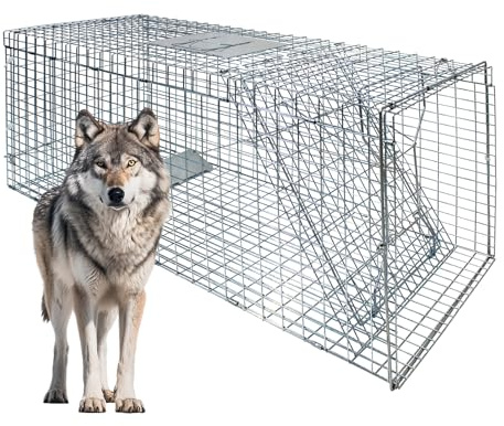 Large Foldable Humane Live Animal Trap Cage-51.1x17.4x18.9, Powder-Coated Alloy Steel Live Trap-Zip Ties -Coyote Cage for Raccoon/Capybara/Bobcat/Fox/Dog/Armadillo/Opossum/Stray Cat/Rabbit