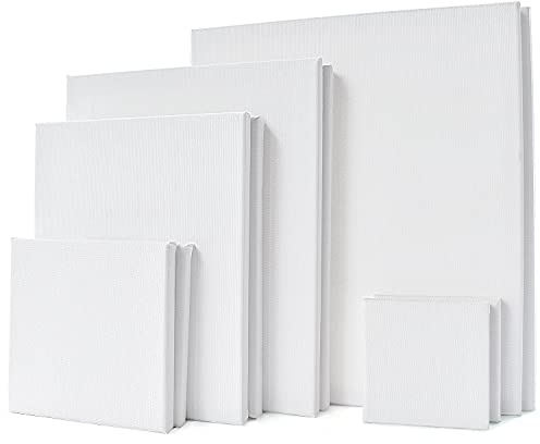 Leinwand Set - 10 Stück Leinwand zum Bemalen - Leinwand Rahmen Keilrahmen - Leere Leinwandpaneele in Verschiedenen Größen - Geeignet für Künstler (10 Stück)