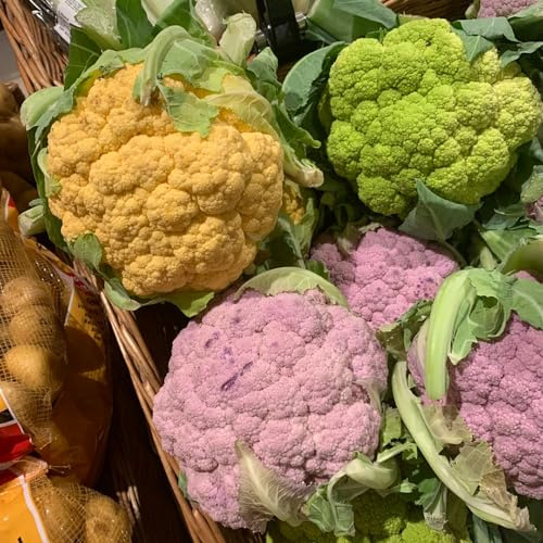 Coliflor Semillas de en bancales elevados jardín en balcón Semillas de coliflor resistentes verdes orgánicas exóticas resistentes jardines 350semillas