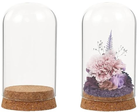 GIYXHU 4 st glasklockor burk displaybox kupol med korkbas för att visa upp miniblommor snäckor festgåvor idealisk heminredning förvaring för växtsamling