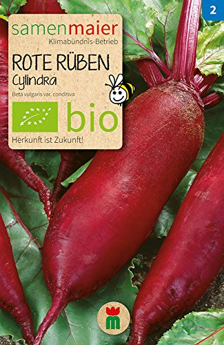 BIO Rote Rüben Cylindra Samen - Lang, milde und süßliche Rüben für Salate - Samenfestes Saatgut aus kontrollierter biologischer Landwirtschaft - Inhalt für ca. 70 Pflanzen - Samen Maier