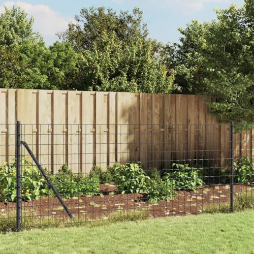 LAPOOH Maschendrahtzaun Anthrazit 0,8x25 m Verzinkter Stahl, Volierendraht, Wühlmausgitter, Kaninchenzaun, Drahtzaun, Drahtgeflecht, Kaninchendraht, Geflügelzaun - 154216