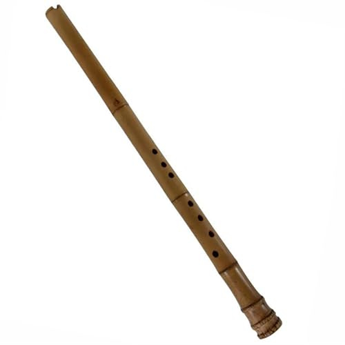Bambusflöte Professionelle Chinesische Vertikale Bambusflöte Southern Xiao Professionelle Gui-Bambus-Nan-Xiao-Flöte Shakuhachi 8 Löcher(F Key)