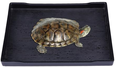 HOLIDYOYO Bol Reptile Large Noir pour Alimentation Eau et Bain Plat Lourd Anti-Renversement pour Tortues et Reptiles de Terrarium Surface Imitation Bois Naturelle Facile à Nettoyer