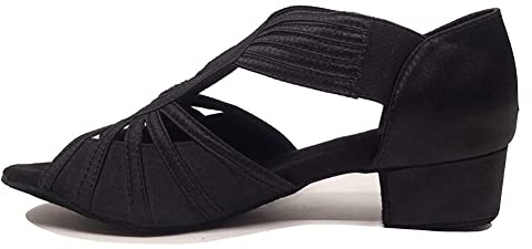 HIPPOSEUS Ladies's Latin Dance Shoes Low Heel for Practice Teaching | Peep Toe,Slip-on,Ballroom Salsa Bachata Dance Heels,kindly for Indoor Wooden Floor