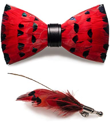 JEMYGINS Noeud Papillon Homme rouge noir en Plume en Plumes Fait Main et Broche Ensemble Compris boîte