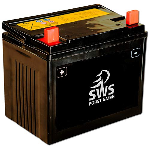 SWS Forst GmbH vorgeladene sofort einsatzbereite Batterie für alle MTD Rasentraktoren 12 V 24Ah und andere Rasenmäher