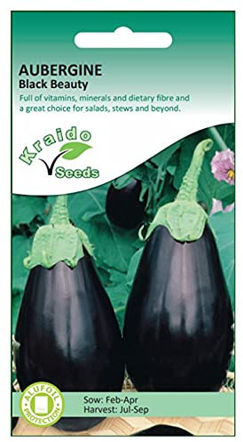 Kraido Aubergine Seeds Eggplant Black Beauty Heritage Variety Solanum Melongena 200 Seeds Grow Your Own Vegetable Perfect for Greenhouse or Container Growing