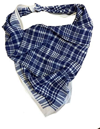 PAÑUELO DE CUADROS AZUL Y BLANCO (2)
