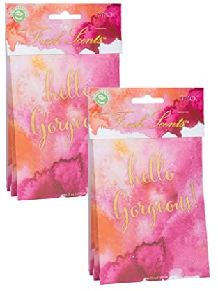 WillowBrook | Fresh Scents Scented Sachet Packet | Hello Gorgeous | Air Freshener Bags for Drawers, Closets, Cars | 6 Pack | Long Lasting Home Fragrance