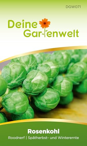 Rosenkohl Roodnerf Samen - Brassica oleracea - Rosenkohlsamen - Gemüsesamen - Saatgut für 80 Pflanzen