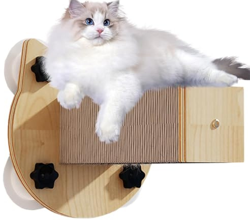 Katzen klettern an der Wand mit 4 Saugnäpfen, stabil und rutschfest für Kratzer und Hängematten, Kratzmöbel für Haustiere